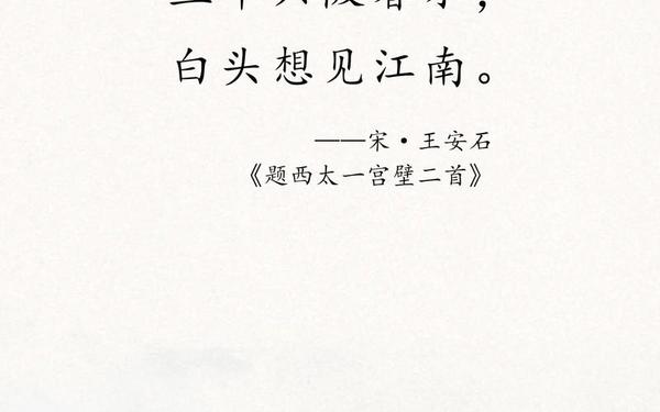 白首一先生打一字 长相守下一句是什么