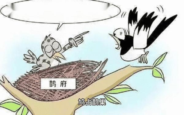 齐唱打一成语_鸠占鹊巢打一成语