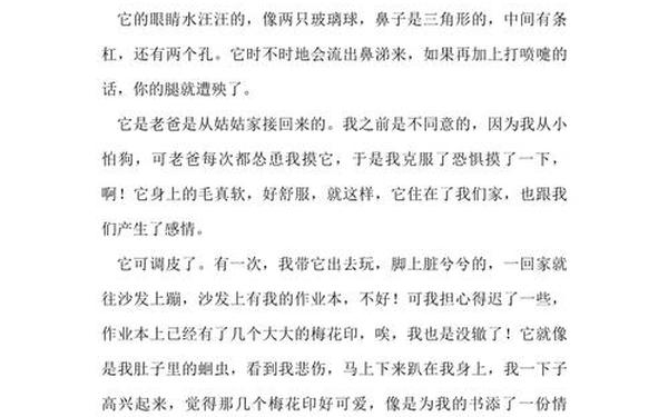 身边有特点的人300字作文;动物作文300字三年级