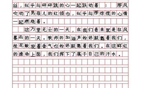 多彩的活动500字作文—6下第一篇作文500字作文