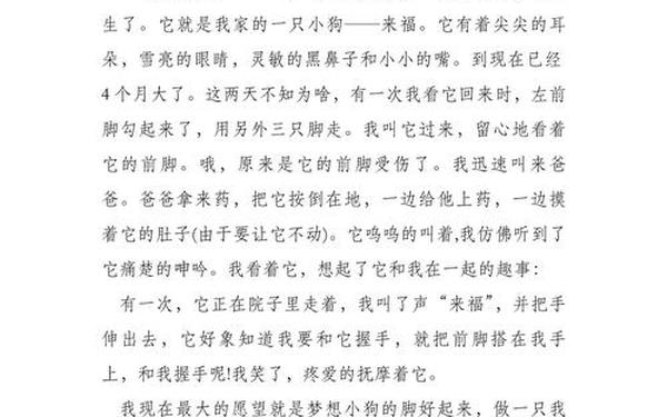 三年级优秀作文小狗300字;狗的特征和外貌描写