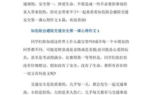 交通安全第一课观后感 交通安全心得体会500字