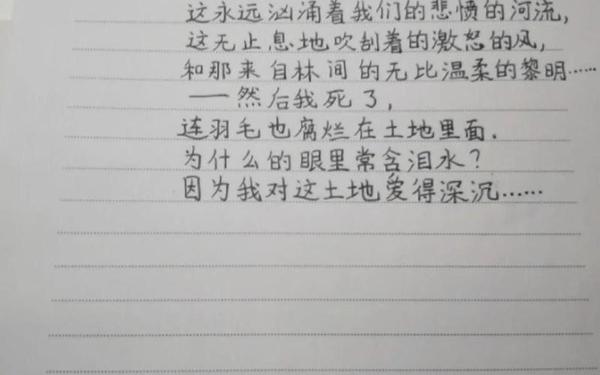 地毯下的尘土、地毯下的尘土原文