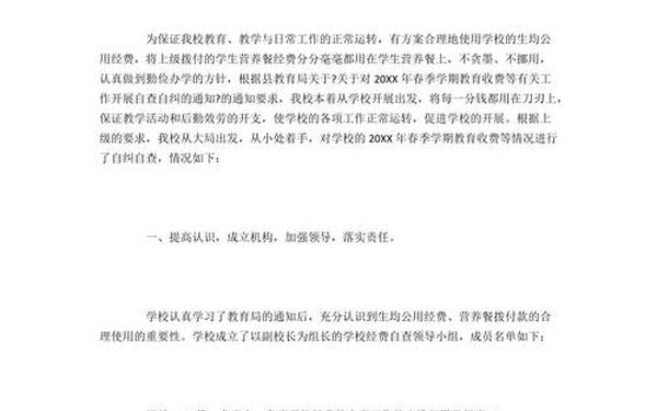 三公经费自查报告-三公经费使用情况报告