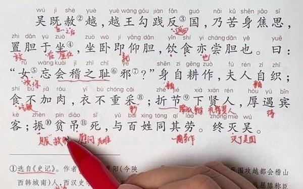 卧薪尝胆的典故_卧薪尝胆出自哪个典故
