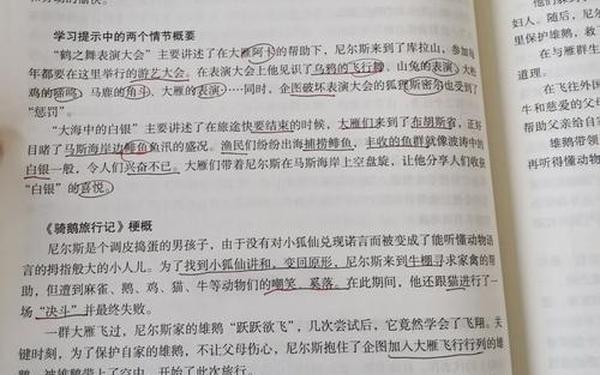 汤姆索亚历险记梗概500字-骑鹅旅行记梗概500字
