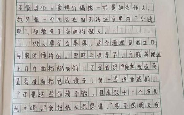 我心中的偶像;中考满分作文《我的偶像》