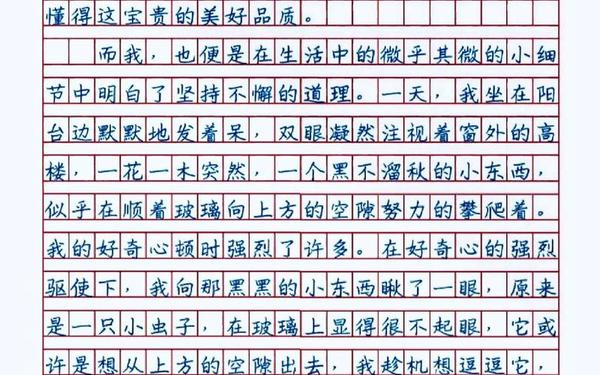 我懂得了坚强_我懂得了_______作文400字