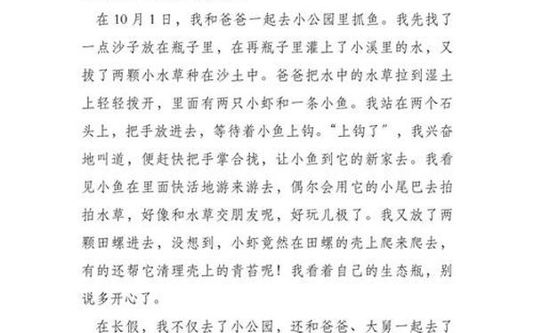 假期最开心的一件事(愉快的寒假就要结束了)