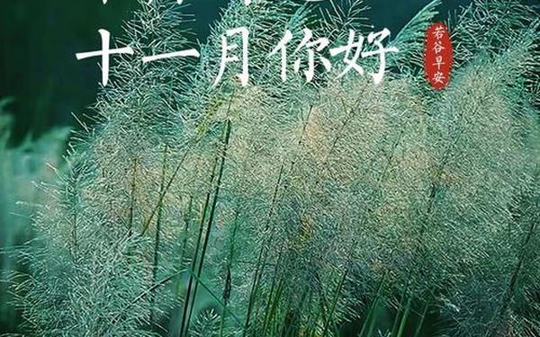 十月再见十一月你好的句子,唯美十一月的简短句子