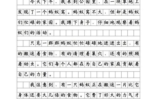 三年级蚂蚁作文300字 最常见的十种蚂蚁