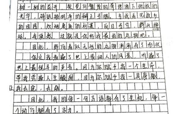 完美的谢幕(完美的谢幕作文600字)