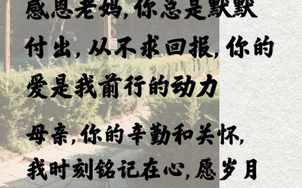 感恩母爱最朴实的句子—最朴实的赞美母亲的话