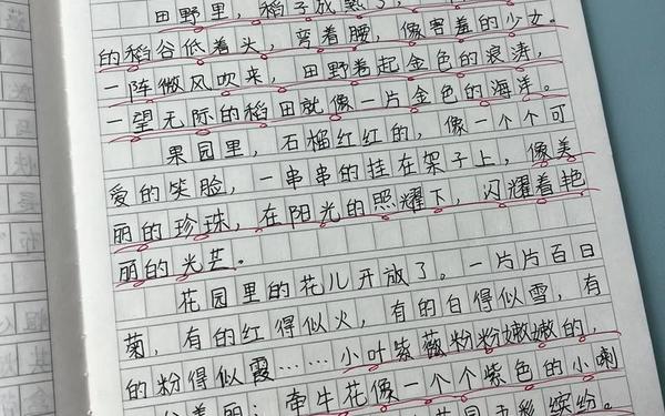 三年级作文秋天的景色—三年级写秋天景色30字