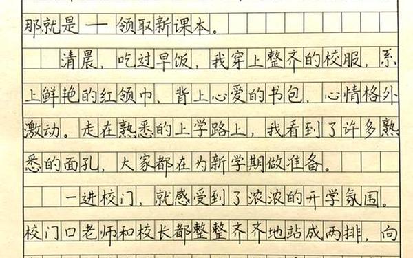 开学了作文-开学第一天作文50个字