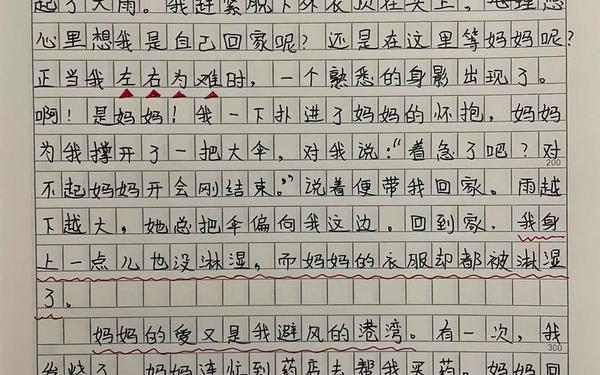 关于母爱的作文300字_关于外公的催泪作文