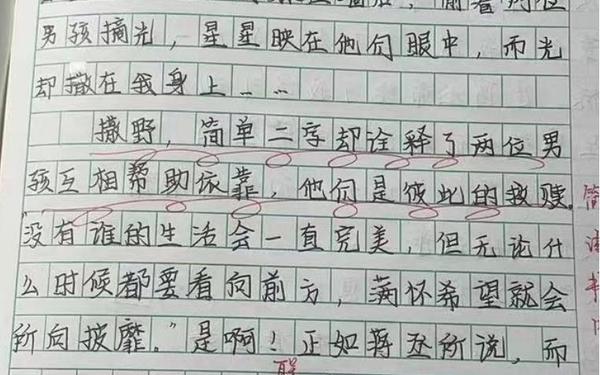 我也可以中考满分作文、中考满分作文《救赎》