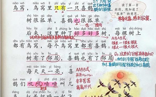 一年级语文上册课文 树和喜鹊课文说明了什么