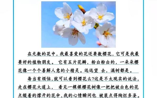 三年级上册同步作文-同步作文三下电子版免费