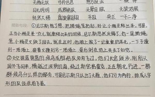 假如我有尼尔斯的鹅(假如我有尼尔斯的鹅小练笔)