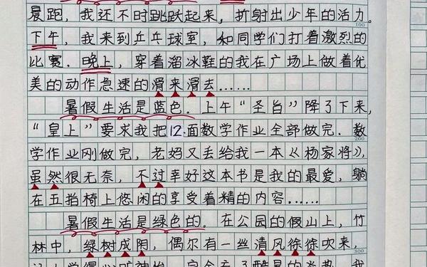 暑假作文600字初中—大学生寒假生活作文