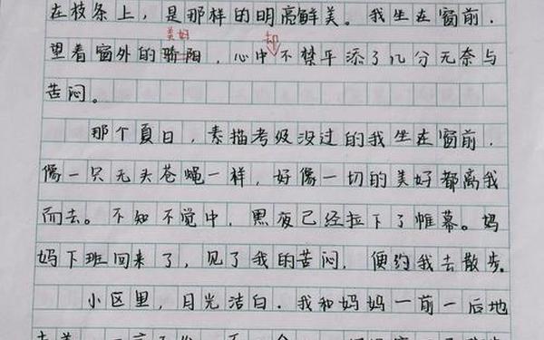 2009中考作文;2009年中考语文作文