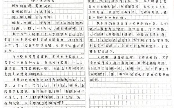 慢下来的时光—慢下来的时光700字