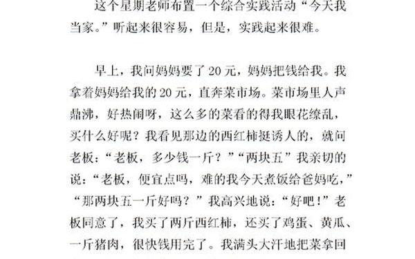 今天我当家作文_今天我当家作文400字左右