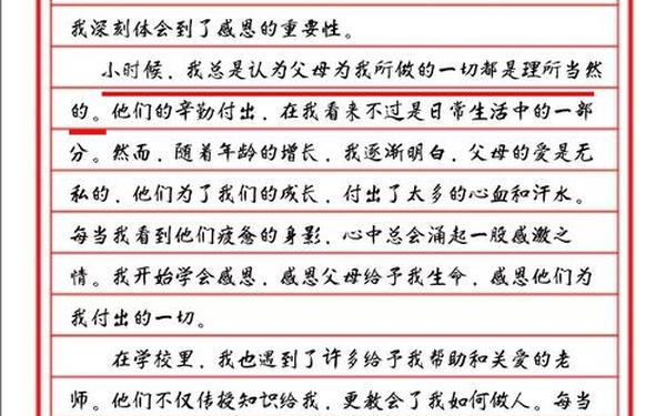 关于感恩的作文500字,感恩为主题的作文