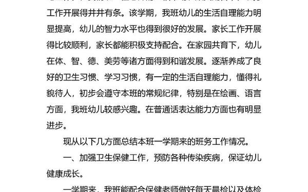 小班班务总结—2024年小班班务总结