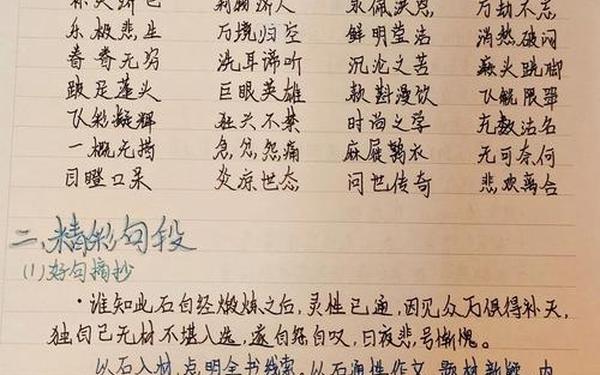 大学生读书笔记范文-大学生正规的读书笔记格式