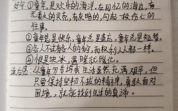 童年读书笔记100字;童年主要内容25字