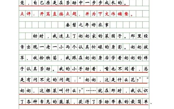 初中满分作文摘抄十篇、适合初中生摘抄的满分作文