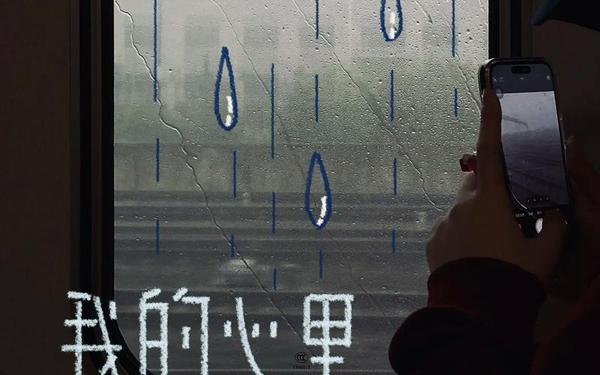 我心中的花雨(的花雨只剩一个人)