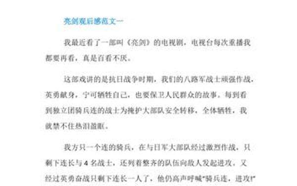 亮剑小说读后感 亮剑心得体会