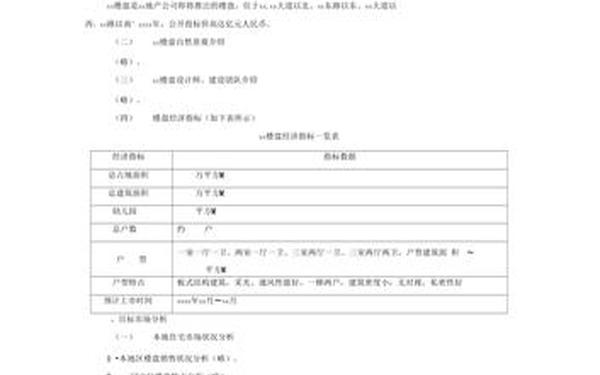 广告策划书-广告策划书word