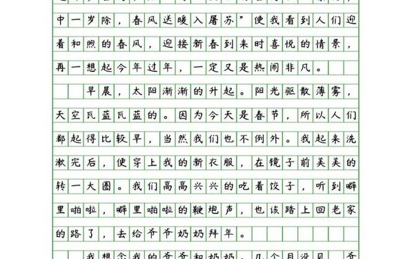 冬天作文600字初中 春节作文600字初二