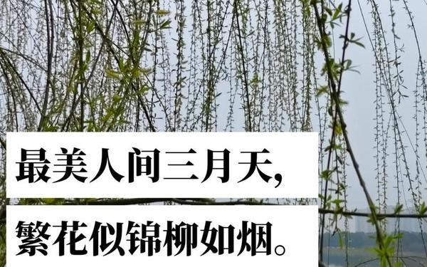 关于春天的优美句子(最美人间三月天,不负春光不负卿)