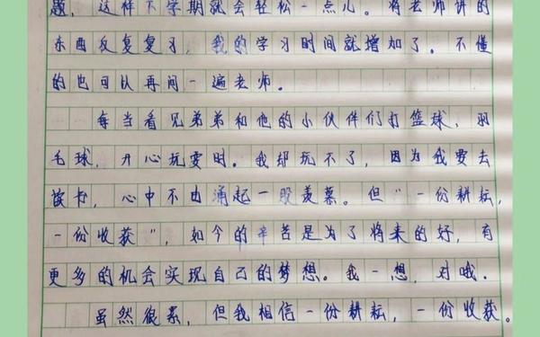 关于理想的作文600字_我还有理想作文600字