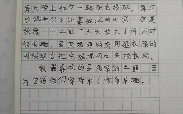 我的心爱之物作文400,作文《我的心爱之物》