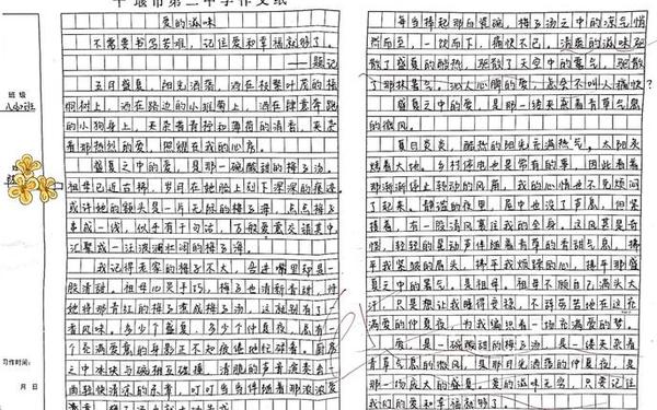 我有我的滋味_个中滋味作文800字