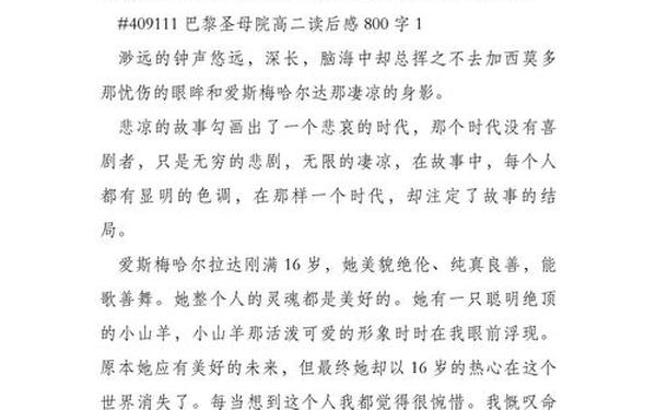 巴黎圣母院的读后感 巴黎圣母院读后感800字高中