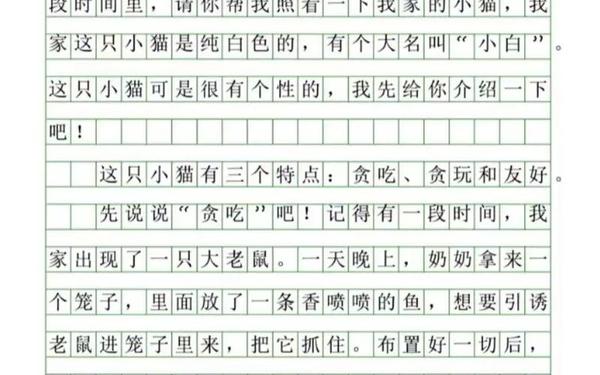 四年级下册第一单元作文400字、第4单元作文怎么写