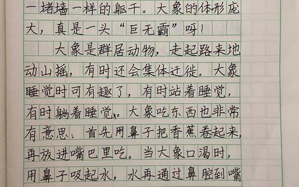 动物作文300字免费—动物的句子
