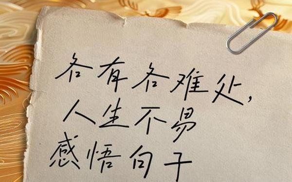 人生感悟经典句子摘抄大全、短短一句,说透人生