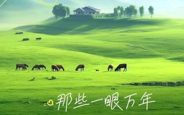 广告创意文案 广告语怎么写吸引人