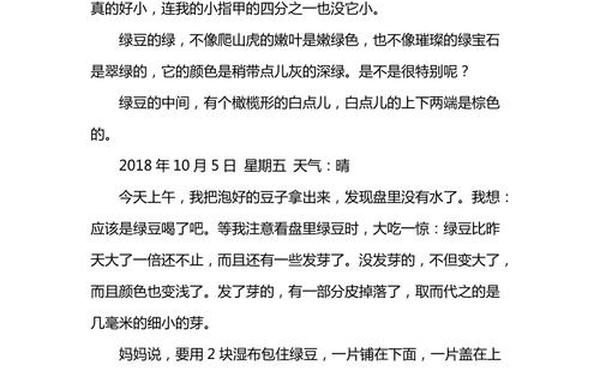 四年级观察作文—小天使四年级小学生