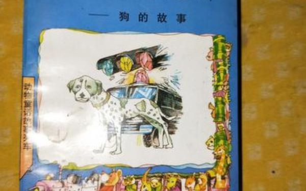 山林之王读后感—太阳神的儿子阅读感想
