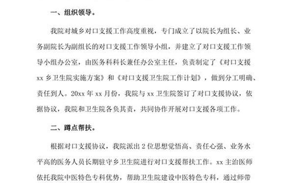 对口支援工作总结_支援工作个人总结