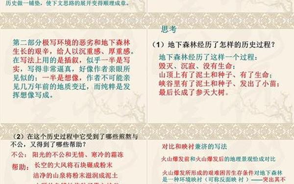 地下森林断想—地下森林断想表达了什么